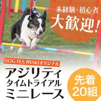 DOG FES IWAKI 2023 チャレンジゲーム【DFIアジリティ・ミニ大会】予約