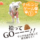 DOG FES IWAKI 2023 チャレンジゲーム①【拾ってGOーーー!!】予約