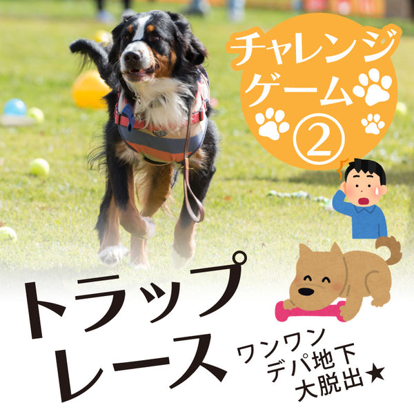 DOG FES IWAKI 2023 チャレンジゲーム②【トラップレース】予約