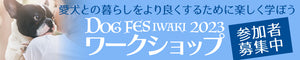 DOG FES IWAKI