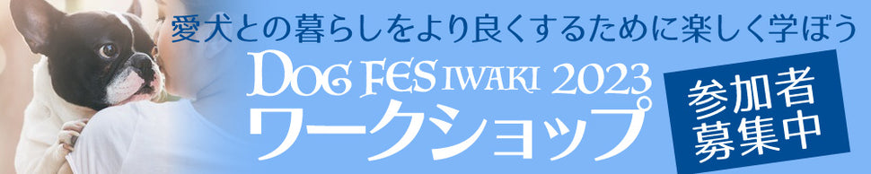 DOG FES IWAKI
