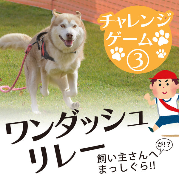 DOG FES IWAKI 2023 チャレンジゲーム③【ワンダッシュリレー】予約