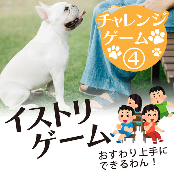 DOG FES IWAKI 2023 チャレンジゲーム④【イストリゲーム】予約