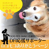 DOG FES IWAKI 2023サポーター・グループ枠【ロコモコありがとうページ】ロコモコのお友達専用