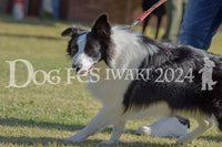 DFI2024-00038.jpg