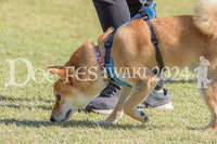 DFI2024-00046.jpg