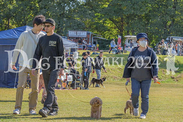 DFI2024-00080.jpg
