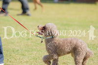 DFI2024-00082.jpg