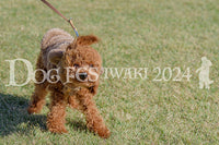 DFI2024-00083.jpg
