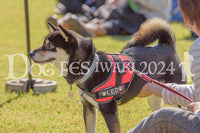 DFI2024-00160.jpg