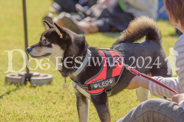 DFI2024-00160.jpg
