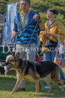 DFI2024-00176.jpg