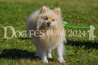 DFI2024-00188.jpg