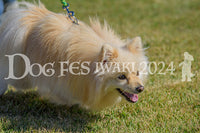 DFI2024-00190.jpg