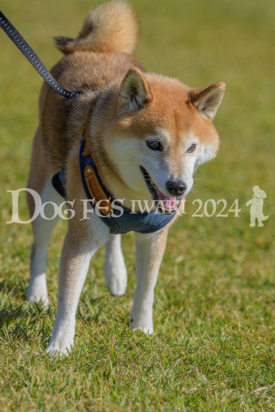 DFI2024-00193.jpg