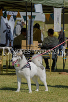DFI2024-00196.jpg