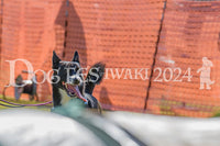 DFI2024-00197.jpg