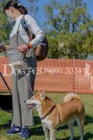 DFI2024-00207.jpg