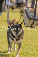 DFI2024-00217.jpg