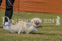 DFI2024-00221.jpg