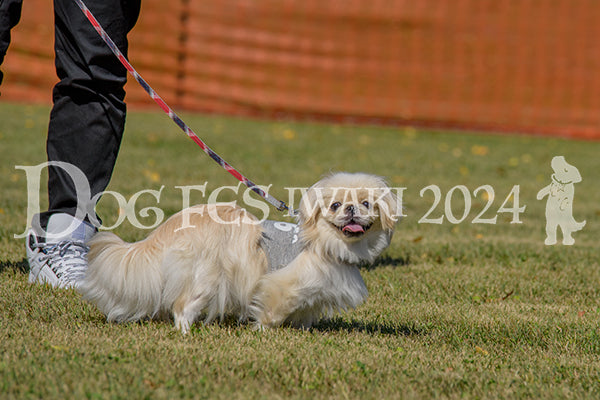 DFI2024-00221.jpg
