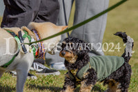DFI2024-00229.jpg