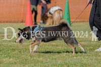 DFI2024-00241.jpg