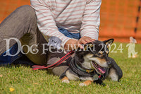 DFI2024-00245.jpg