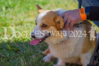 DFI2024-00249.jpg