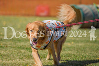 DFI2024-00298.jpg
