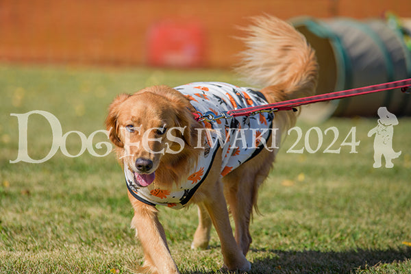 DFI2024-00298.jpg