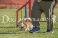DFI2024-00316.jpg