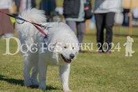 DFI2024-00333.jpg
