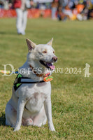 DFI2024-00336.jpg
