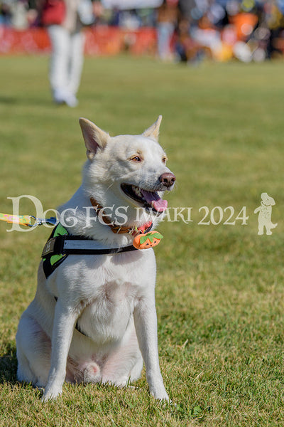 DFI2024-00336.jpg