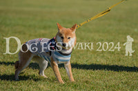 DFI2024-00381.jpg