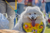 DFI2024-00391.jpg