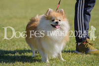 DFI2024-00398.jpg