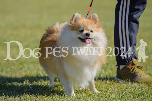 DFI2024-00398.jpg