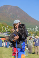 DFI2024-00405.jpg