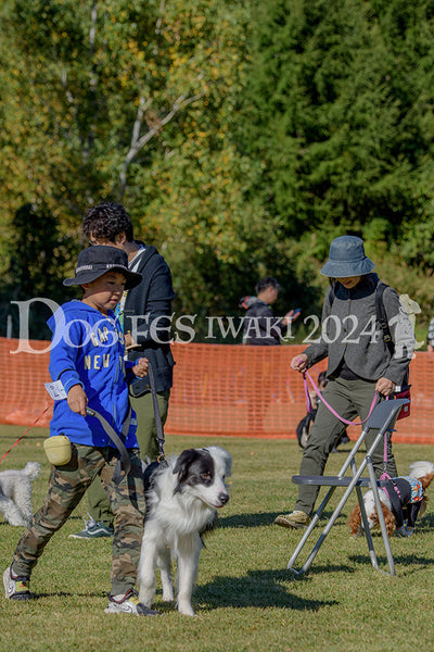 DFI2024-00442.jpg
