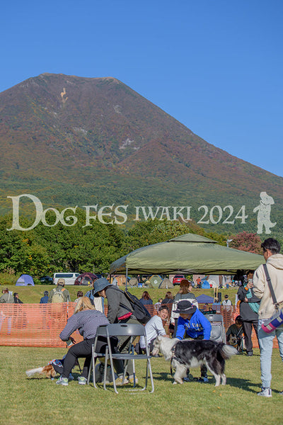 DFI2024-00458.jpg