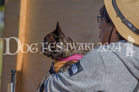 DFI2024-00463.jpg