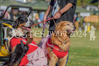 DFI2024-00473.jpg