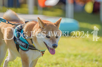 DFI2024-00510.jpg
