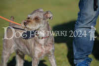 DFI2024-00516.jpg