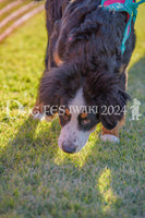 DFI2024-00521.jpg