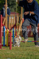DFI2024-00531.jpg