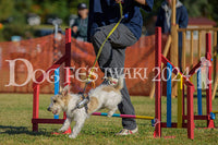 DFI2024-00532.jpg