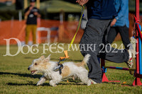 DFI2024-00535.jpg